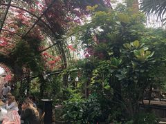 -The Grounds of Alexandria