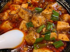-陈麻婆豆腐总店