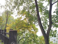 -重庆平顶山公园