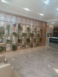 -碧莲盛·不剃发植发