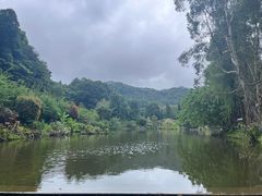 -深圳仙湖植物园