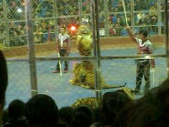 -西安秦岭野生动物园