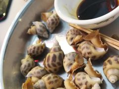 海螺-飞尝蚝·顺德菜·鱼生(顺德总店)