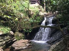 -江西阳明山国家森林公园