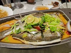 -翠华餐厅(正佳广场店)