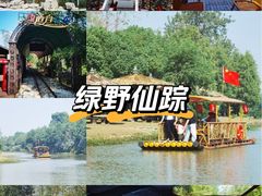 -合肥滨湖国家森林公园