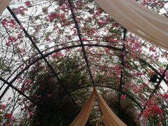 -The Grounds of Alexandria
