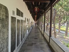 -苏州文庙(姑苏区)