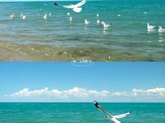 -青海湖国家重点风景名胜区