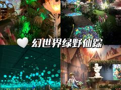 -华谊兄弟（长沙）电影小镇