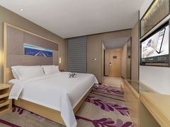 -麗枫酒店(广州汉溪长隆站野生动物园景区店)