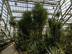 -南山植物园