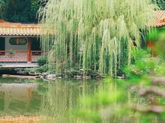 -深圳仙湖植物园