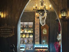 -雪灵魔法世界SHELLY’S TAROT(大良桂畔里店)
