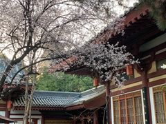 -大唐博相府酒店·陕西官府菜