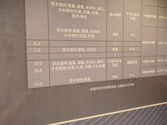 -呼和浩特博物馆