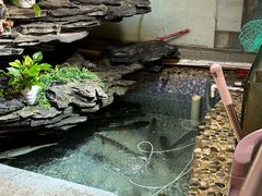 -山水茶艺馆·点心粤菜·30年老字号