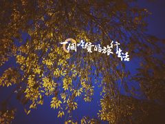 -搓火大都会(广安门总店)