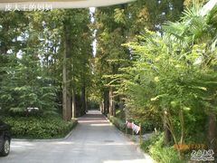 CIMG8086-上海怡沁园度假酒店