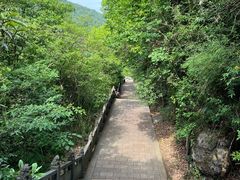 -金狮洞国家地质公园