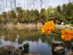 -莲池书院博物馆