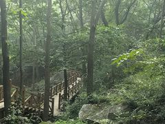 -大岭沟猕猴桃谷风景区