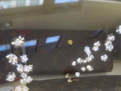 -六六奢品·vintage中古·回收二手奢侈品包包手表首饰(环球港店)
