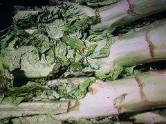 莴苣菜-桐庐江南农贸市场