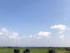 -米内日亚国家公园