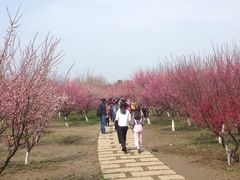 -南湖湿地公园