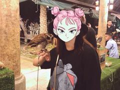 -清迈夜间动物园