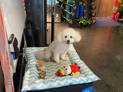 -能量健身私教工作室(1527店)