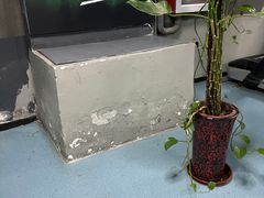 -阳光游泳培训基地(天通苑店)