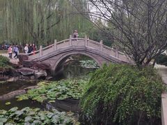 -焦山景区-万佛塔