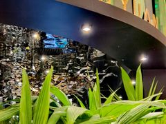 -凤园椰珍·臻品椰子鸡(保利时光里店)