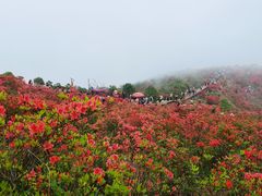 -瑞安圣井山景区