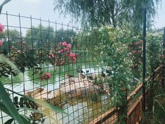 -燕郊植物园