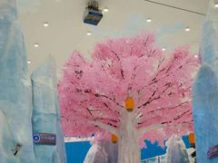 -湘江欢乐城欢乐雪域