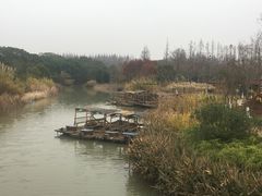 -上海长兴岛郊野公园