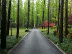 android_upload_pic-上海怡沁园度假酒店