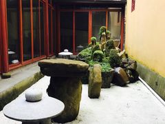 -天目山大树王景区