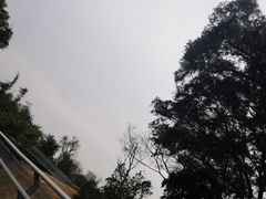 -广州雕塑公园