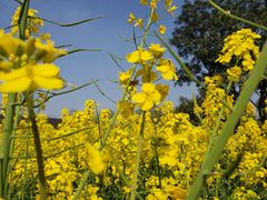 -驿舍·民國老营房院子私房菜(科学会堂店)