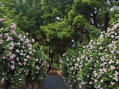 -滆湖低碳生态公园