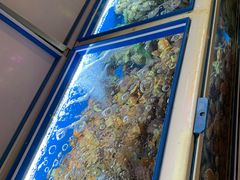 -真情鲍鱼海鲜汤