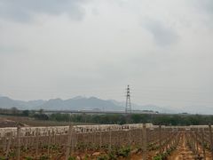 门面-北京张裕爱斐堡酒庄
