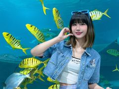 -福州罗源湾海洋世界旅游区