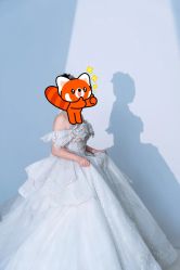 -金夫人婚纱摄影(总店)