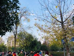 -沙河三洞古桥公园