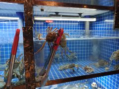 螃蟹-老五烧烤(盘金华府总店)